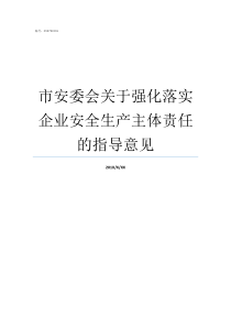 市安委会关于强化落实企业安全生产主体责任的指导意见如何落实区委全会精神