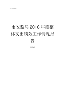 市安监局2016年度整体支出绩效工作情况报告