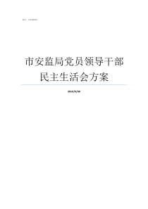 市安监局党员领导干部民主生活会方案