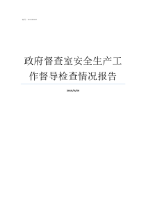 政府督查室安全生产工作督导检查情况报告安全生产督查检查工作