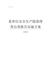 某单位安全生产隐患排查自查报告实施方案安全生产隐患