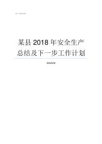 某县2018年安全生产总结及下一步工作计划2018年网络安全宣传周