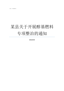 某县关于开展醇基燃料专项整治的通知