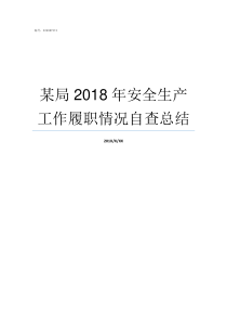 某局2018年安全生产工作履职情况自查总结