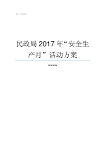 民政局2017年安全生产月活动方案昆明2019年民政局文件