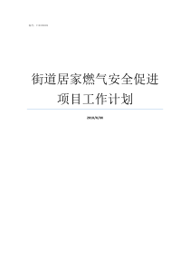 街道居家燃气安全促进项目工作计划