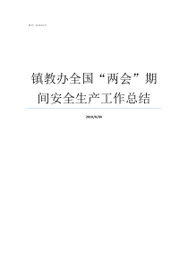 镇教办全国两会期间安全生产工作总结两会是哪两会