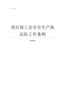 项目部工会安全生产执法队工作条例项目经理安全生产职责