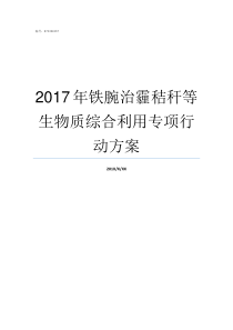 2017年铁腕治霾秸秆等生物质综合利用专项行动方案