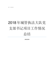 2018年城管执法大队党支部书记项目工作情况总结