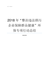 2018年整治违法排污企业保障群众健康环保专项行动总结2019年五个专项整治