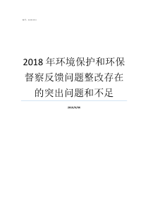 2018年环境保护和环保督察反馈问题整改存在的突出问题和不足2018年全国环境保护大会