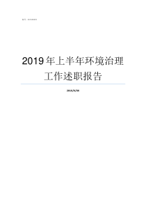 2019年上半年环境治理工作述职报告2019年上半年全国