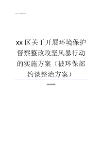 xx区关于开展环境保护督察整改攻坚风暴行动的实施方案被环保部约谈整治方案环境