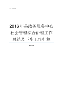 2016年县政务服务中心社会管理综合治理工作总结及下步工作打算