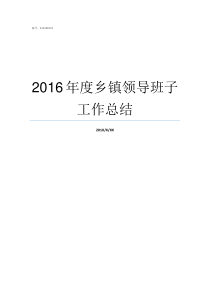 2016年度乡镇领导班子工作总结