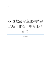 xx区散乱污企业和纳污坑塘再排查再整治工作汇报小散乱污