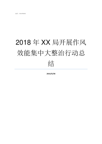 2018年XX局开展作风效能集中大整治行动总结