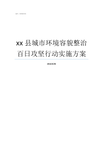 xx县城市环境容貌整治百日攻坚行动实施方案城市环境的组成