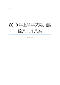 2019年上半年某局扫黑除恶工作总结2019年上半年全国