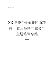 XX党委传承井冈山精神做合格共产党员主题培训总结井冈山