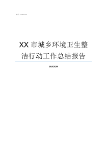 XX市城乡环境卫生整洁行动工作总结报告