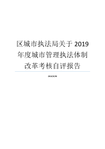 体制革命大城市管理方法自评办案局中央政府年度报告书大城市