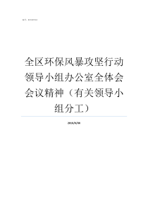 全区环保风暴攻坚行动领导小组办公室全体会会议精神有关领导小组分工