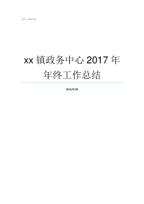 xx镇政务中心2017年年终工作总结