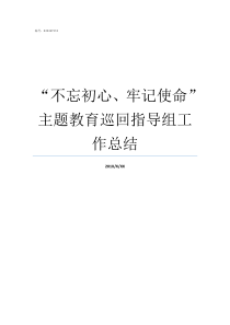 不忘初心牢记使命主题教育巡回指导组工作总结不忘初心牢记使命自查