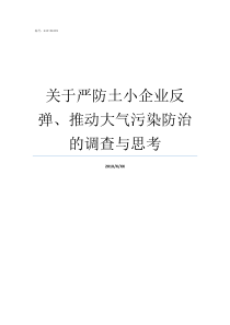 关于严防土小企业反弹推动大气污染防治的调查与思考企业成功人土