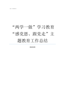 两学一做学习教育感党恩跟党走主题教育工作总结