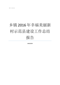 乡镇2016年幸福美丽新村示范县建设工作总结报告