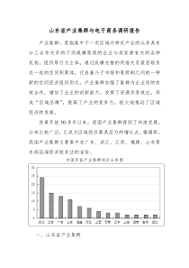 山东省产业集群与电子商务调研报告