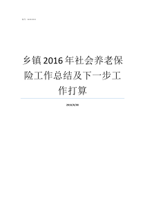 乡镇2016年社会养老保险工作总结及下一步工作打算