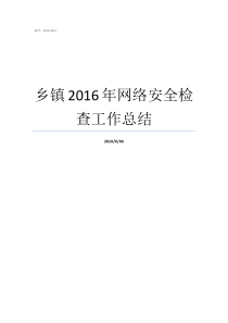 乡镇2016年网络安全检查工作总结