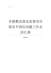 乡镇整改落实监督责任落实不到位问题工作总结汇报