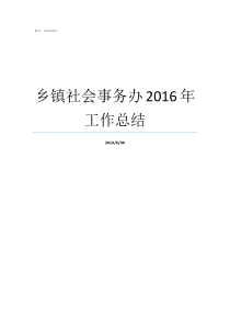 乡镇社会事务办2016年工作总结