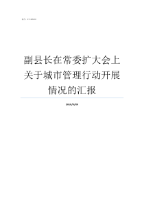 副县长在常委扩大会上关于城市管理行动开展情况的汇报