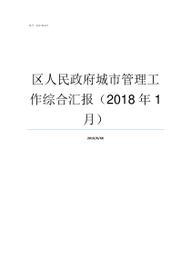 区人民政府城市管理工作综合汇报2018年1月