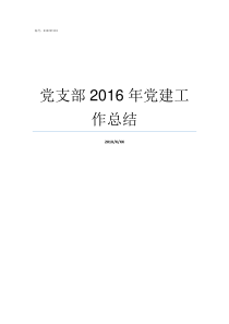 党支部2016年党建工作总结党支部2o19年党建工作计划