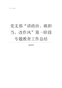 党支部讲政治敢担当改作风第一阶段专题教育工作总结讲政治敢担