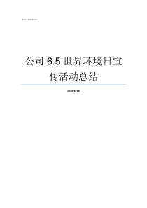公司65世界环境日宣传活动总结世界环境日是