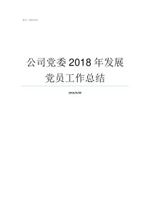 公司党委2018年发展党员工作总结