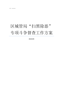 区城管局扫黑除恶专项斗争督查工作方案城管局扫黑除恶存在的问题