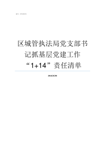 区城管执法局党支部书记抓基层党建工作114责任清单城管执法局电话