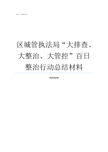 区城管执法局大排查大整治大管控百日整治行动总结材料高新区城管执法局