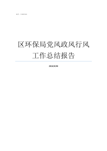 区环保局党风政风行风工作总结报告党风政风行风的具体要求