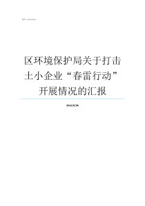 区环境保护局关于打击土小企业春雷行动开展情况的汇报环境局