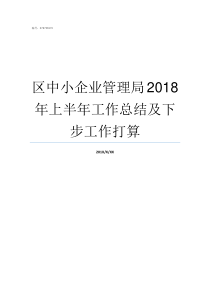 区中小企业管理局2018年上半年工作总结及下步工作打算企业管理局